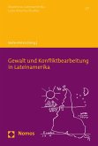 Gewalt und Konfliktbearbeitung in Lateinamerika (eBook, PDF)