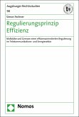 Regulierungsprinzip Effizienz (eBook, PDF)