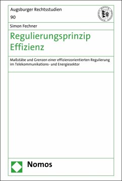 Regulierungsprinzip Effizienz (eBook, PDF) - Fechner, Simon