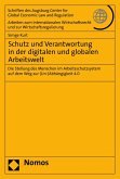 Schutz und Verantwortung in der digitalen und globalen Arbeitswelt (eBook, PDF)