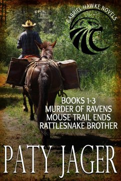 Cover Gabriel Hawke Novels Books 1-3 (eBook, ePUB)