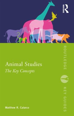 Animal Studies (eBook, PDF) - Calarco, Matthew R.