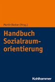 Handbuch Sozialraumorientierung (eBook, ePUB)