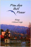 From Here Until Forever (eBook, ePUB)