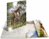 Herma Sammelmappe A4 Tiere - Giraffe