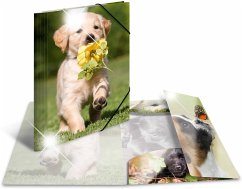 Herma Sammelmappe A4 Tiere - Hunde