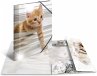 Herma Sammelmappe A4 Tiere - Katzen - Bild 1