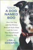 A Dog Named Boo (eBook, ePUB)