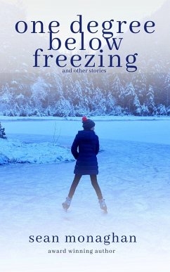 One Degree Below Freezing (eBook, ePUB) - Monaghan, Sean