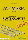 Ave Maria (Arcadelt) - Flute Quartet score & parts (fixed-layout eBook, ePUB)