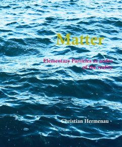 Matter (eBook, ePUB) - Hermenau, Christian