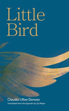 Cover Little Bird (eBook, ePUB)