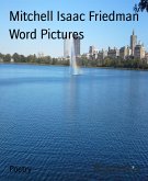 Word Pictures (eBook, ePUB)