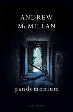 pandemonium (eBook, ePUB) - Mcmillan, Andrew