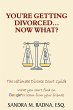 You're Getting Divorced...Now What? - Bild 1