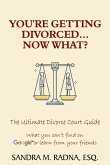 You're Getting Divorced...Now What?: The Ultimate Divorce Court Guide