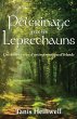 Pe¿lerinage avec les Leprechauns - Bild 1