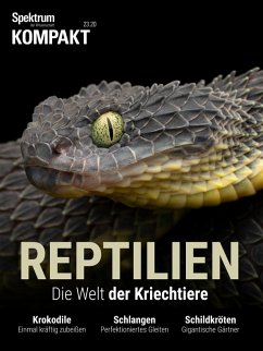 Cover Spektrum Kompakt - Reptilien (eBook, PDF)
