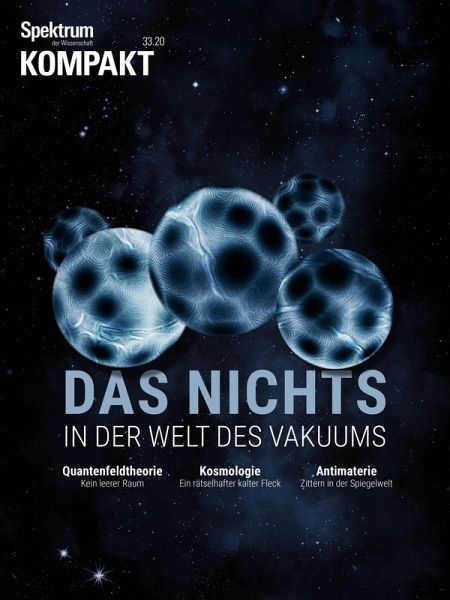 Spektrum Kompakt - Das Nichts (eBook, PDF)