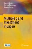 Multiple q and Investment in Japan (eBook, PDF)