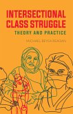 Intersectional Class Struggle (eBook, ePUB)