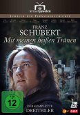 Mit meinen heißen Tränen - Der komplette Dreiteiler über Franz Schubert