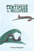 Centipede & Millipede