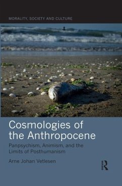 Cosmologies of the Anthropocene - Vetlesen, Arne Johan (University of Oslo, Norway)
