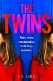 The Twins (eBook, ePUB)