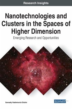 Nanotechnologies and Clusters in the Spaces of Higher Dimension - Zhizhin, Gennadiy Vladimirovich