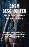 BDSM Geschichten - Die Lust an Dominanz und Unterwerfung (eBook, ePUB)