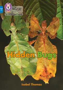 Hidden Bugs - Thomas, Isabel