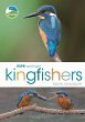 RSPB Spotlight Kingfishers - Bild 1