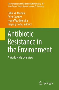 Antibiotic Resistance in the Environment (eBook, PDF)