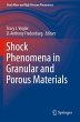 Shock Phenomena in Granular and Porous... - Bild 1
