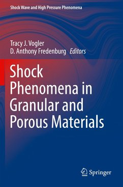 Shock Phenomena in Granular and Porous Materials