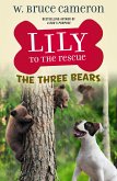 Lily to the Rescue: The Three Bears (eBook, ePUB)
