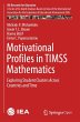 Motivational Profiles in TIMSS... - Bild 1