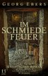 Im Schmiedefeuer. Band III (eBook, ePUB) - Bild 1