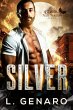 Silver (The Dragons of Veil Valley, #1)... - Bild 1