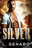 Silver (The Dragons of Veil Valley, #1) (eBook, ePUB)