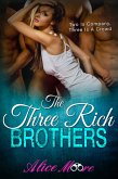 The Three Rich Brothers (eBook, ePUB)