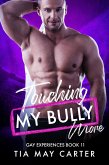 Touching My Bully More (Gay Experiences, #11) (eBook, ePUB)