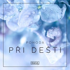 Pohoda – Při dešti (MP3-Download) - Broe, Rasmus