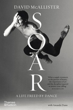 Soar (eBook, ePUB) - McAllister, David