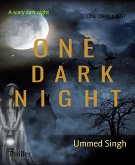 ONE DARK NIGHT (eBook, ePUB)