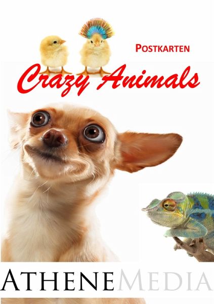 Postkarten (eBook, PDF) Postkarten (eBook, PDF)