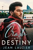 Crash Into Destiny (eBook, ePUB)