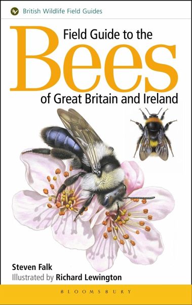 Field Guide to the Bees of Great Britain and Ireland (eBook, ePUB)