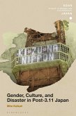 Gender, Culture, and Disaster in Post-3.11 Japan (eBook, ePUB)